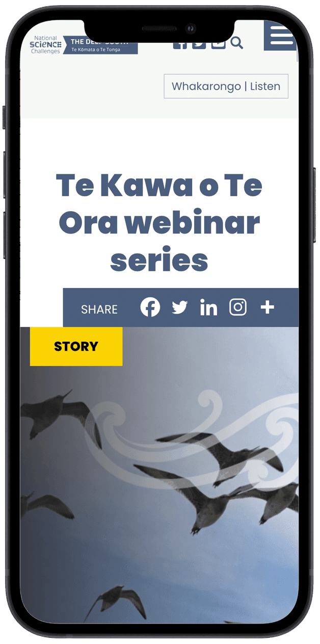 Deep South Challenge phone view